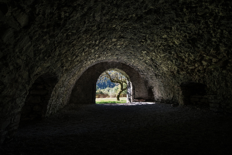 grey, horror, nature, tunnel, tree, entrance, wall - building feature, the way forward, empty, built structure, indoors, structure, 5K, dark, day, light at the end of the tunnel