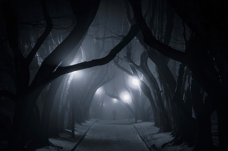 horror, light at the end of the tunnel, direction, nature landscape dark trees urban lantern snow mist street light night tunnel poland, plant, no people