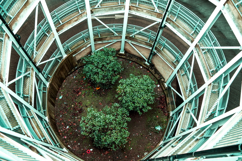 indoors, grass, greenhouse, white, built structure, city, no people, structure, nature, plant, birds eye, circle, geometric shape, potted plant, metal