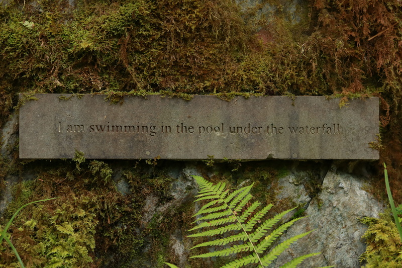 fern, plant part, stone, close-up, engraved, leaf, non-western script, signage, growth, western script, no people, ground, green color, 5K, slate, information