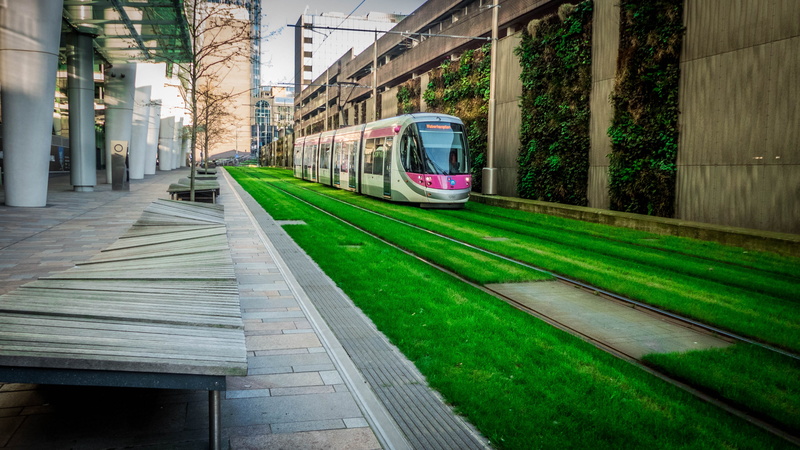 tree, architecture, cable car, outdoors, railroad track, railroad car, train, land vehicle, laidback, day, train - vehicle, building exterior, mode of transportation