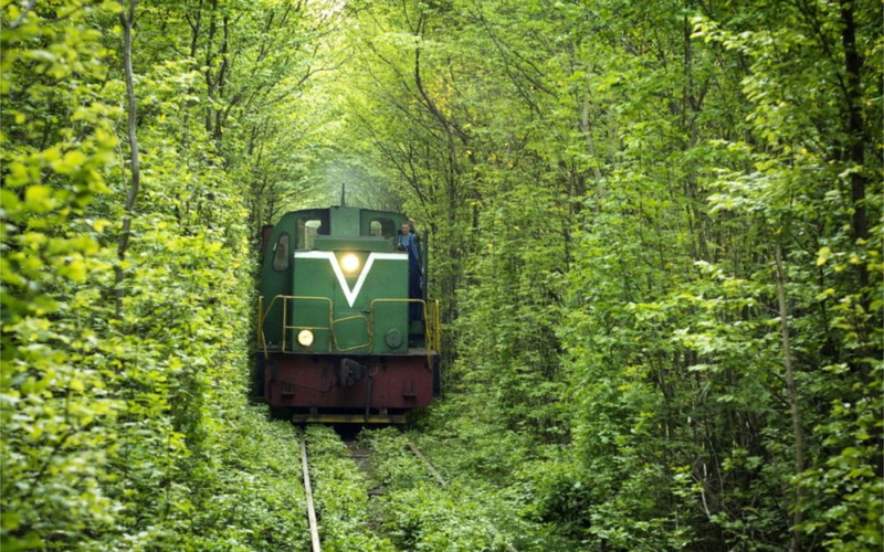 Railway, 2K, Tunnel of Love, Ukraine, Train, forest