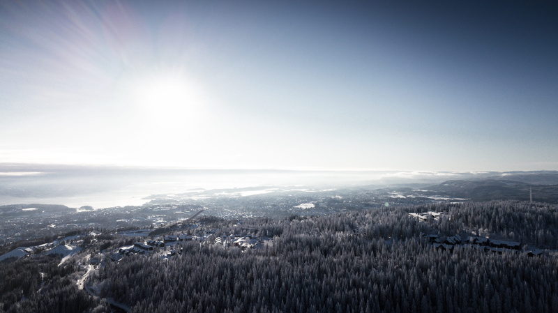 plant, oslo, sun, outdoors, norway, nature, sky, scenics - nature, tranquil scene, snow, holmenkollen, tranquility, no people, 4K, day, land, environment
