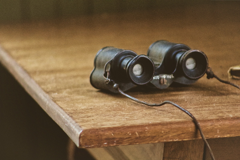 animal, accessories, black, wooden, head, day, blackbird, plywood, indoors, camera lens, connection, black color, single object, box, stained wood, still life
