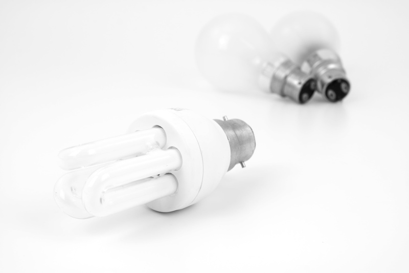 bulb, light Bulb, education, salt shaker, energy, tungsten, power, cut out, glass, copy space, glass - material, salt - seasoning, electricity, cfl, no people