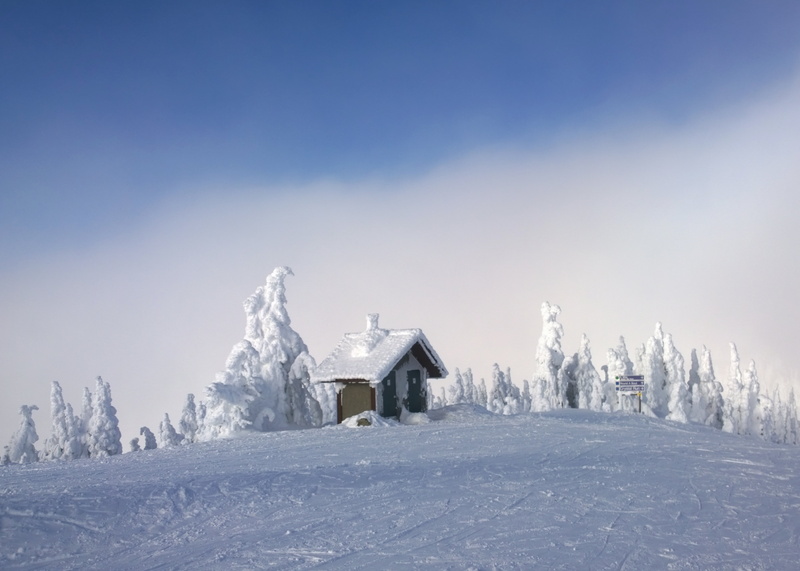 season, sun peaks resort, surrounded, outdoors, nature, weather house, snow ghosts, blue, frost, winter weather, mountain, tree, landscape, toilet, winter