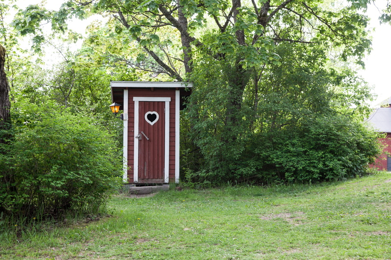 land, vintage, poop, tree, room, closed, 5K, plant, outdoors, green color, structure, rustic, forest, rural, old, wc, retro, antique, grass, Dry Toilet