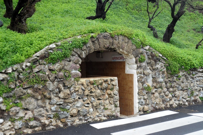 western script, no people, text, trunk, growth, built structure, building exterior, outdoors, solid, tree trunk, france, architecture, biarritz, plant