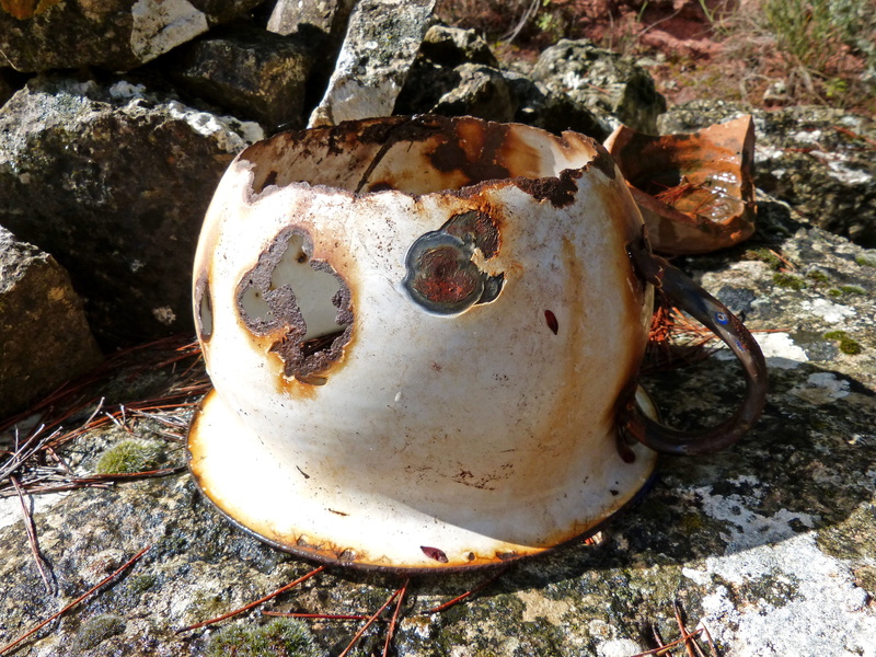 animal, Old, no people, nature, still life, bone, metal, animal skull, land, field, 4K, solid, Urinal, day, rock, high angle view, rusty, rock - object