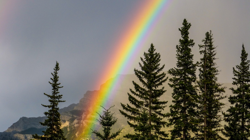 canmore, natural phenomenon, happy, nature, tranquil scene, land, spring, 4K, love, growth, color, red, canada, storm, summer, tranquility, mountains