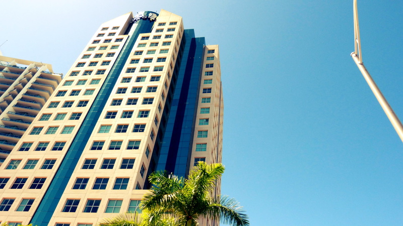 modern, worms eye view, luxury, plant, building exterior, architecture, tree, office, urban, building, window, apartment, city, no people, brown, black