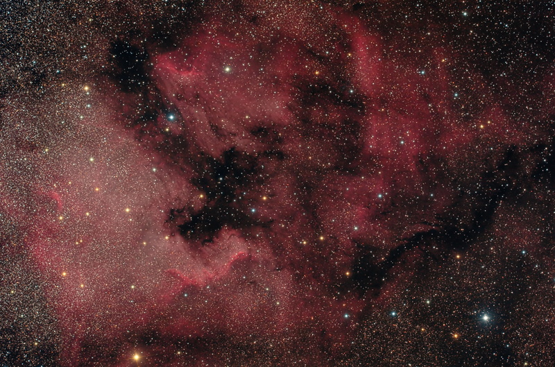 nebula, North America, 4K, Swan, in the constellation, emission