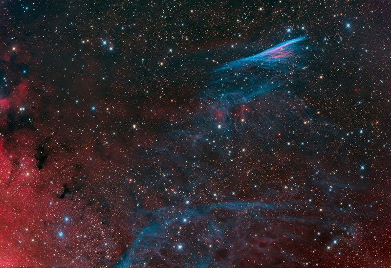 marine, emission nebula, in the constellation, star - space, 1080P, animals in the wild, Sails, beauty in nature, stars, majestic, infinity, night, sky