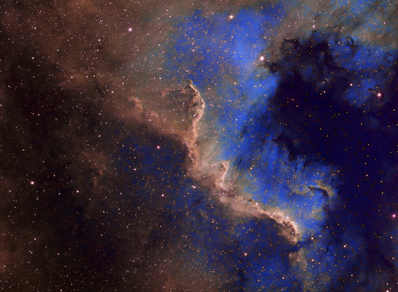 blue, emission, nature, multi colored, space, Swan, nebula, star - space, in the constellation, dust, mystery, NGC 7000, beauty in nature, cloud - sky