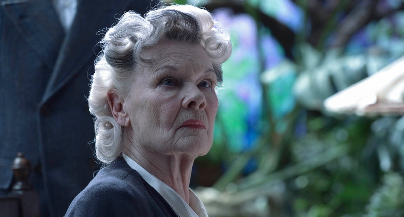 senior adult, close-up, gray hair, Judi Dench, emotion, looking, one person, portrait, uncertainty, contemplation, headshot, lifestyles, 1080P, serious