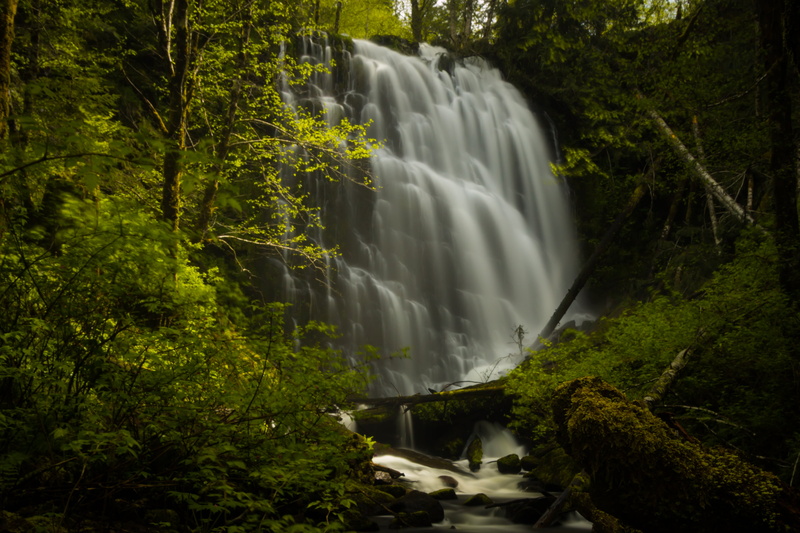 tree, beauty In Nature, waterfalls, photography, leaf, near, tropical Rainforest, outdoors, waterfall, scenics, 2K, green Color, landscape, surprise, falling