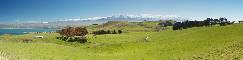 f/2.8, spring, 8K, ランド, photography, nature, outdoors, scenics, green Color, hill, Kaikoura peninsula, kaikoura, panorama, meadow, zeeland, walkway, mountain