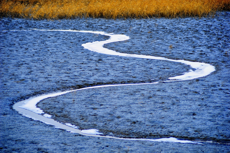 suncheon bay, sign, 4K, communication, day, white color, symbol, sponge pearl, no people, beauty in nature, winter, plant, nature, cold temperature, high angle view