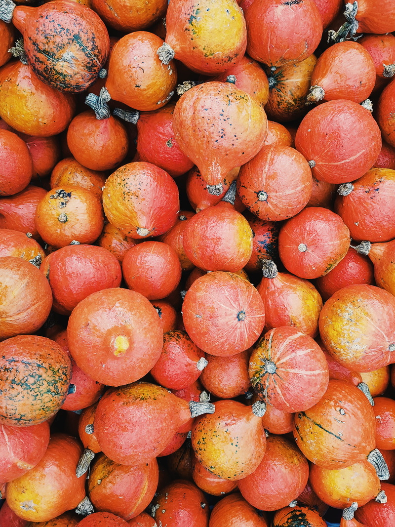from above, fruits, no people, wellbeing, flatlay, abundance, eating, plenty, market stall, round, autumn, pumpkin, for sale, market, food and drink, fruit