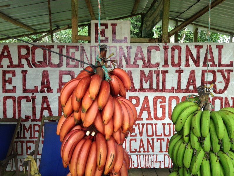 day, handwritten, retail, vegetarian food, freshness, wellbeing, sweet, plantains, spanish, raw food, communication, tasty, food, galapagos, natural, fruit
