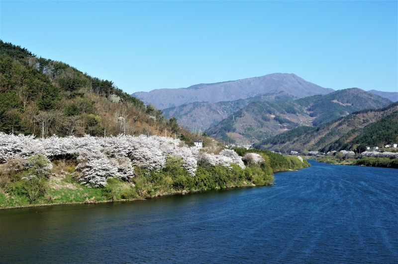 non-urban scene, nature, clear sky, day, tranquil scene, flowing, sky, cherry enjoy, flower road, blue, no people, 4K, waterfront, plenty of water, lake