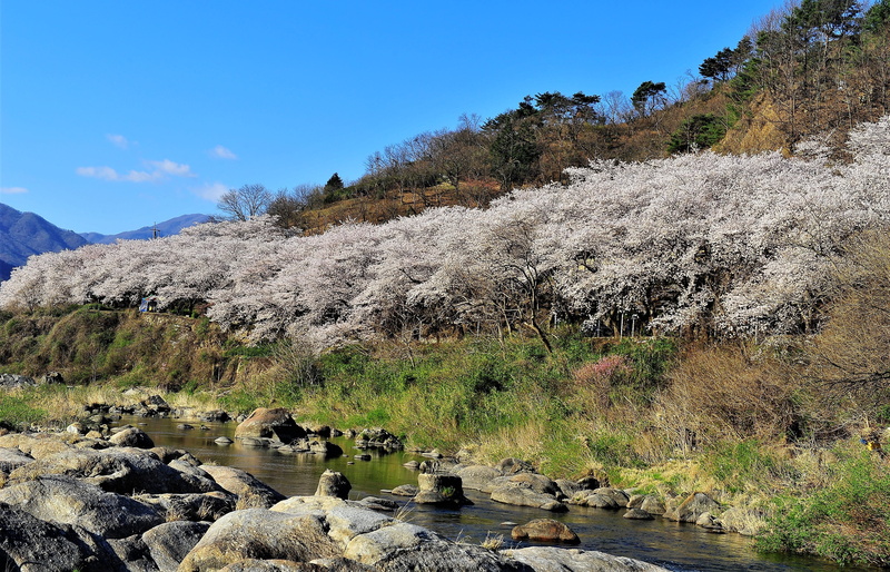 plant, spring, plenty of water, flowing water, scenics - nature, tranquil scene, rock - object, rock, sky, no people, beauty in nature, day, flowing, water