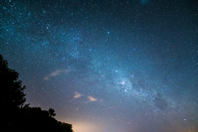 scenics - nature, idyllic, tranquility, no people, plant, nature, panoramic, star field, tree, sky, low angle view, 5K, beauty in nature, star - space