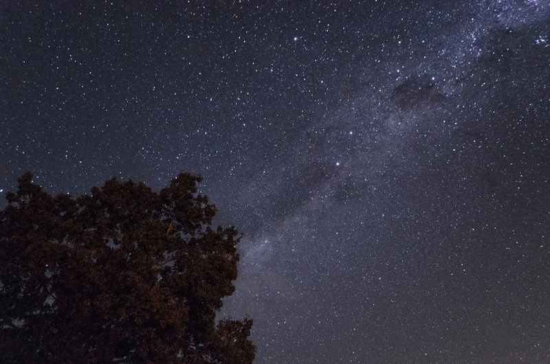 low angle view, star, 4K, untitled, universe, dark, space and astronomy, scenics - nature, outdoors, night, star - space, space, sky, star field, beauty in nature