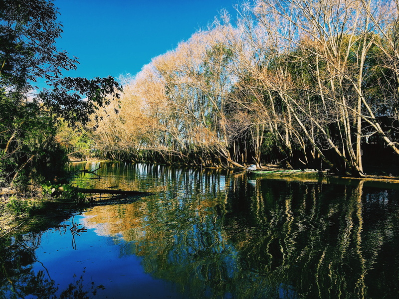 forest, nature, outdoors, 4K, blue, water, waterfront, non-urban scene, scenics - nature, river, no people, trees, tranquil scene, reflection, lake, argentina