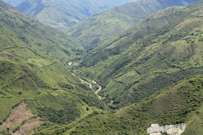 plant, 4K, outdoors, scenics - nature, tea crop, entre ríos, valley, tranquil scene, mountain range, land, tranquility, green color, mountains, day, mountain