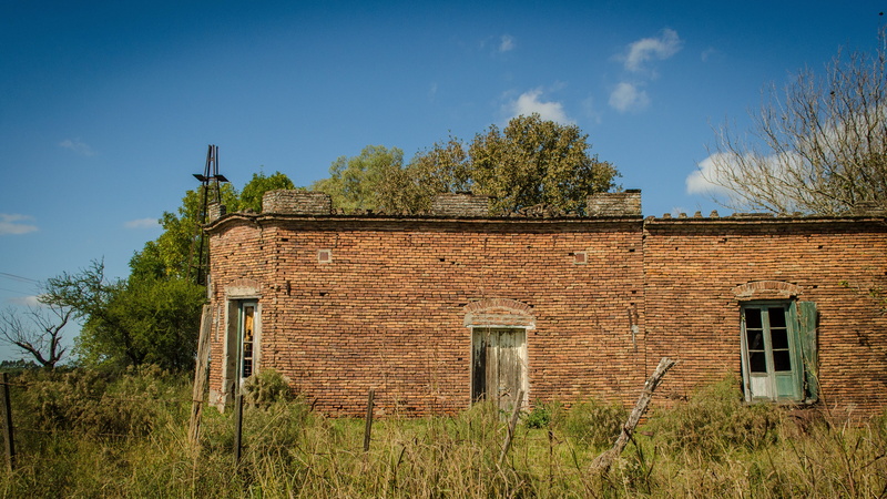 plant, architecture, construction, residential Building, architecture And Buildings, deterioration, nature, window, brick, casa vieja, grass, no People