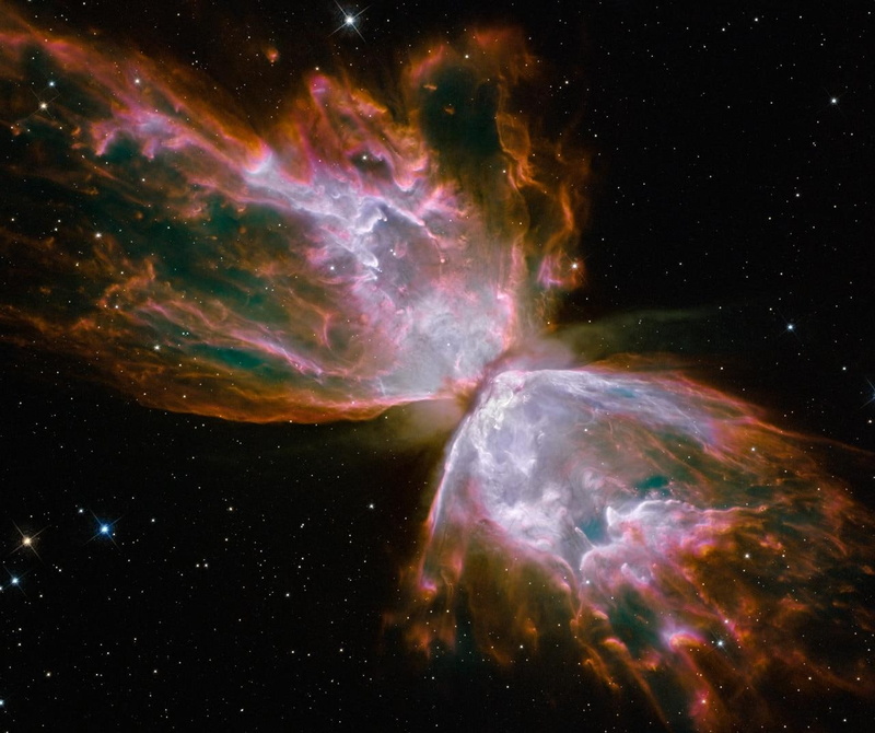 art, hst, x, hd, 720P, thank, butterfly, butterflies, animals, love, apparently, also, astronomy, big