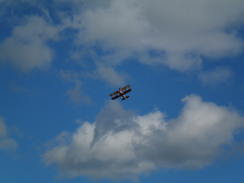 sky, redbull airrace, air vehicle, propeller, on the move, day, red bull, aerobatics, sport aircraft, animal, mode of transportation, no people, airplane