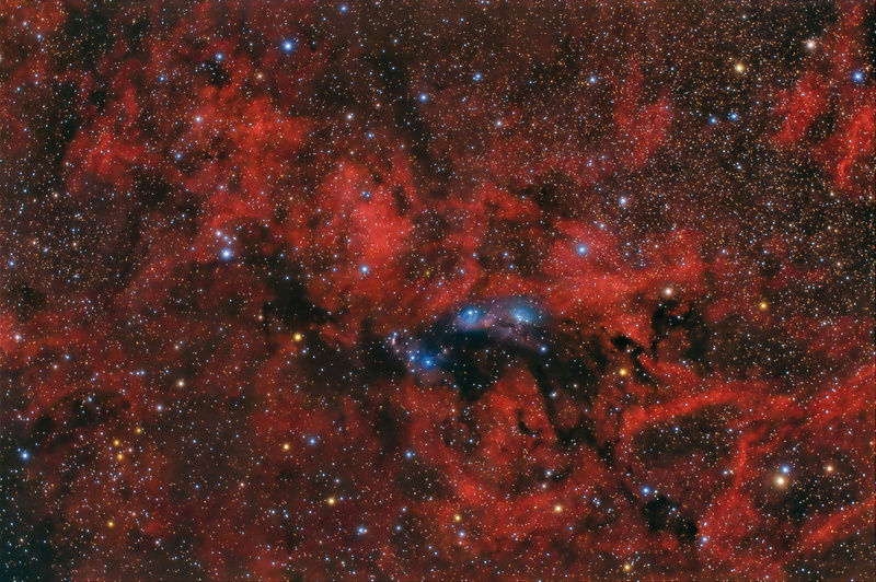 Swan, 1080P, reflecting, NGC 6914, nebula, in the constellation
