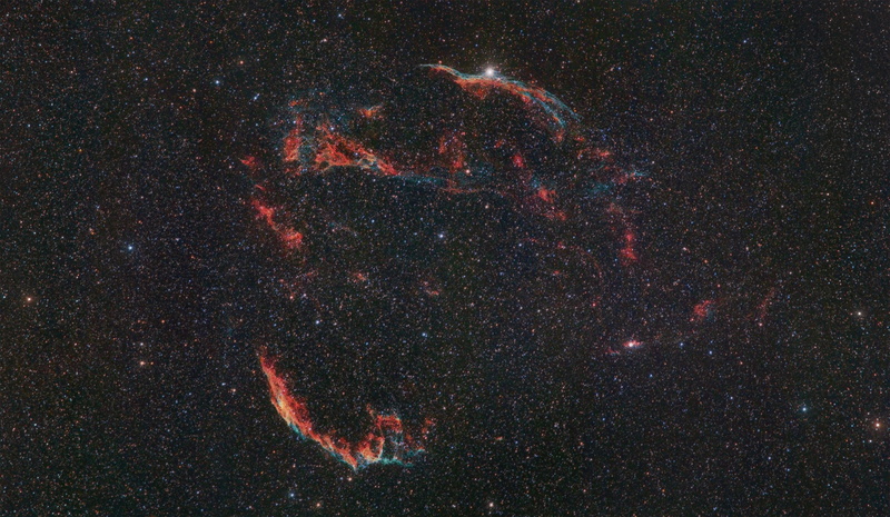 marine, nature, cosmo, space, animals in the wild, astronomy, infinity, animal, veilnebula, 2K, filamentarynebula, star, animal wildlife, galaxy, ourgalaxy