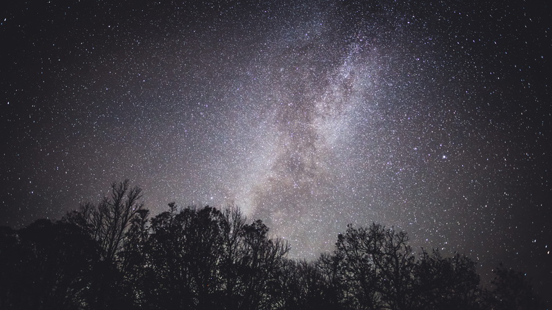 no people, idyllic, constellation, star field, tree canopy, tree, tranquil scene, astronomy, night, nature, plant, starry, weather, galaxy, star