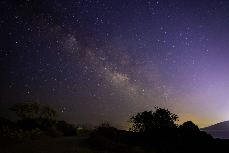constellation, star, evening, galaxy, space, tree, beauty in nature, sunset, tranquility, star - space, plant, astronomy, star field, 5K, backlit