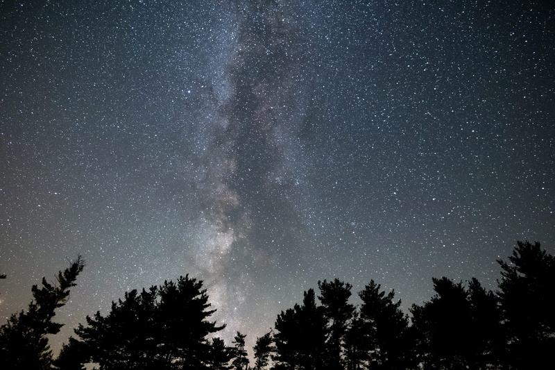 digital, landscape, beauty in nature, no people, trees, space, tree, orion, low angle shot, coniferous tree, evening, tranquil scene