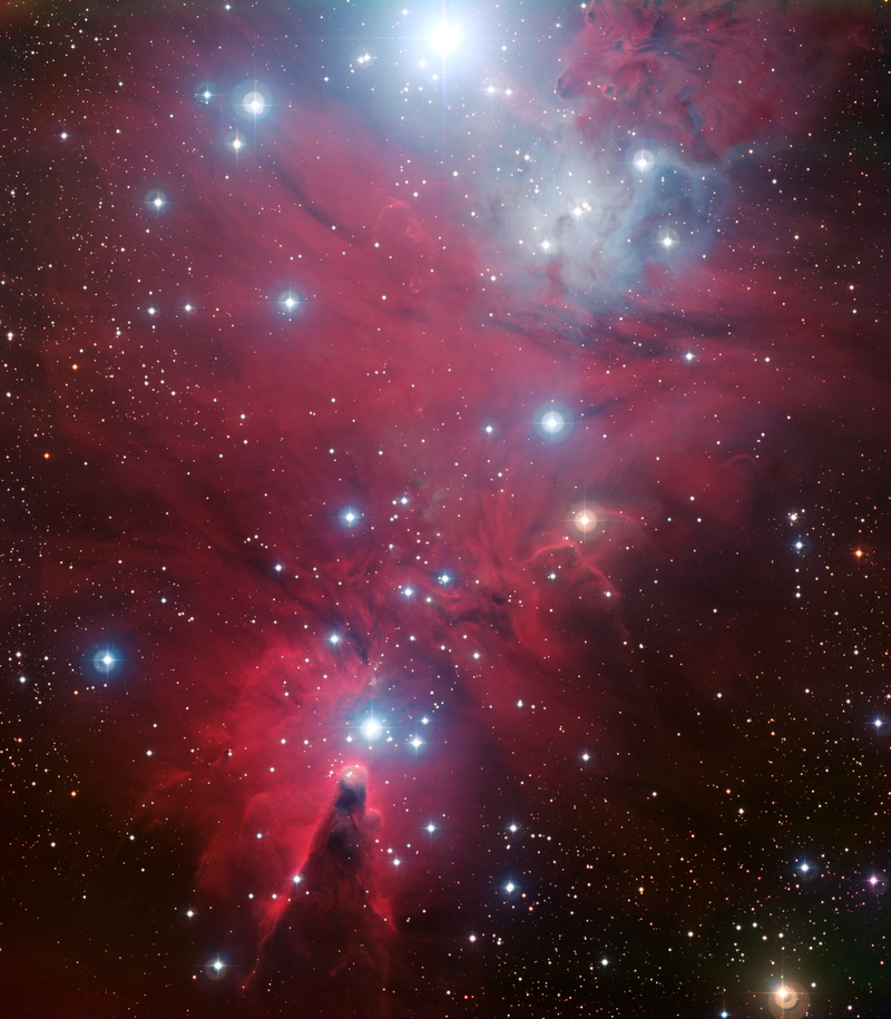 NASA, NGC 2264, stars, Christmas Tree cluster, 8K, galaxy, space