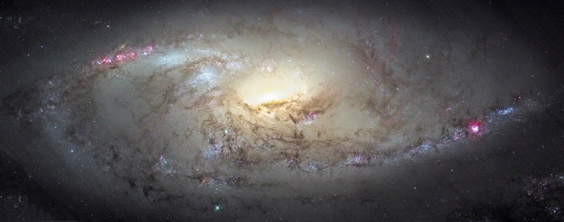 NGC 4258, The Big Dipper, galaxy, M106, The Dogs Of War, 2K, constellation