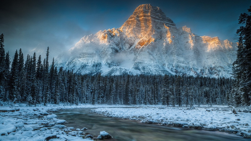 cold temperature, forest, frozen, land, coniferous tree, stream, outdoors, beauty in nature, tree, environment, nature, 1080P, non-urban scene, snowcapped mountain