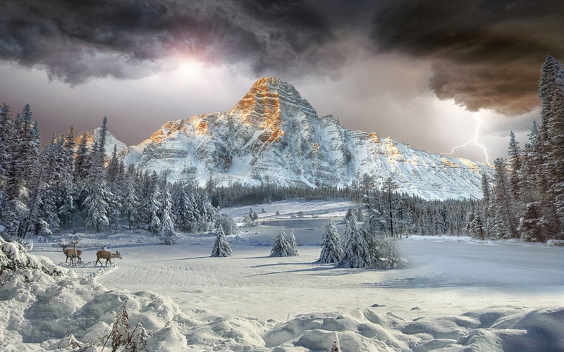 land, tranquility, Deer, Mountain, beauty in nature, mountain range, pine woodland, Mountains, Earth, cloud - sky, Valley, nature, Snow, Landscape, cold temperature