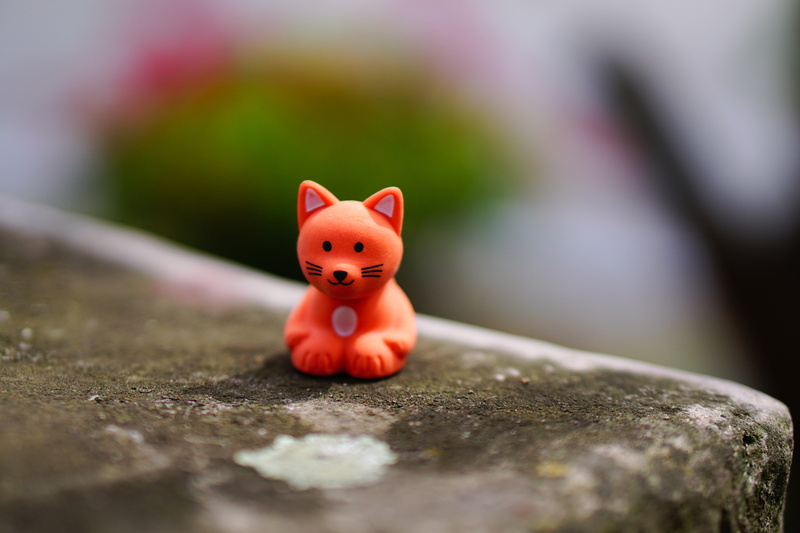craft, 5K, piggy Bank, cute, symbol, success, no People, selective focus, currency, figurine, selective, concepts, ideas, photography, blurry, red, home Finances