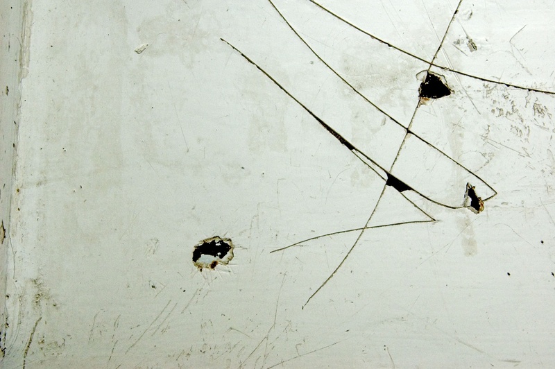 close-up, wall - building feature, 2K, wall, insect, cracky, group of animals, animal themes, animal wildlife, dirty, ceiling, indoors, invertebrate, animal