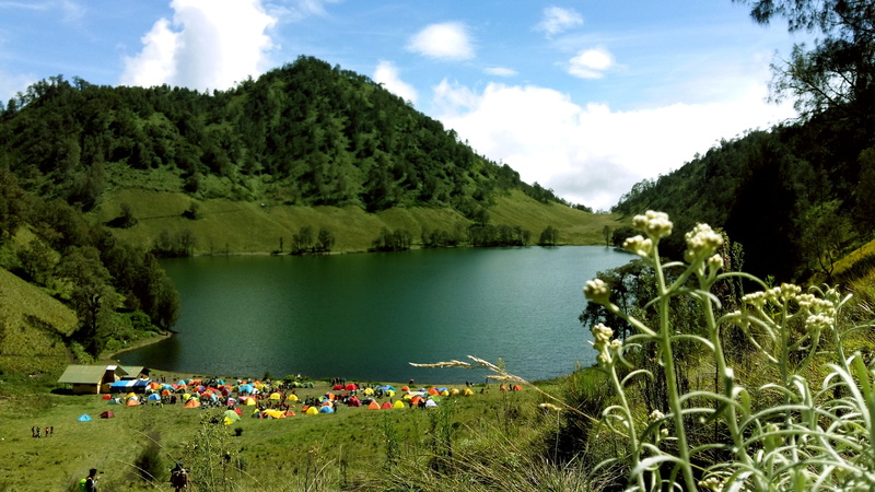 photography, travel, green color, vacations, group, leaf, green, morning, day, background, outdoors, guy, nature paintings, hill, beautiful, java, nature activities