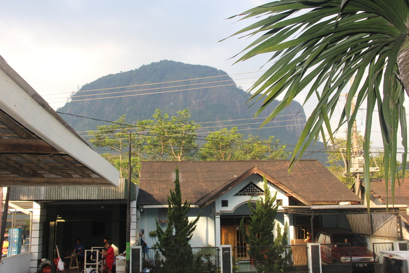 the landscape, nature, plant, house, blue, cloud, day, outdoors, sunlight, growth, view, green, the sky, built structure, mountain, roof, city, tropical climate