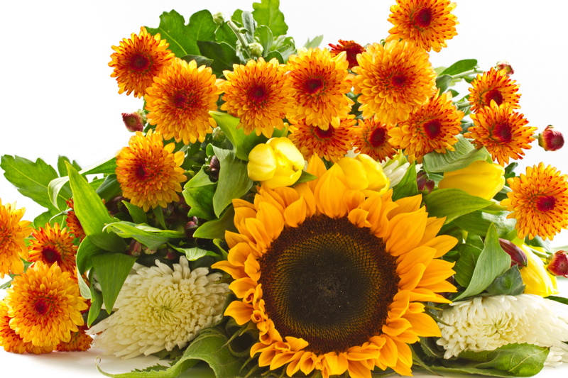 flowers, sunflowers, yellow, asters, 8K