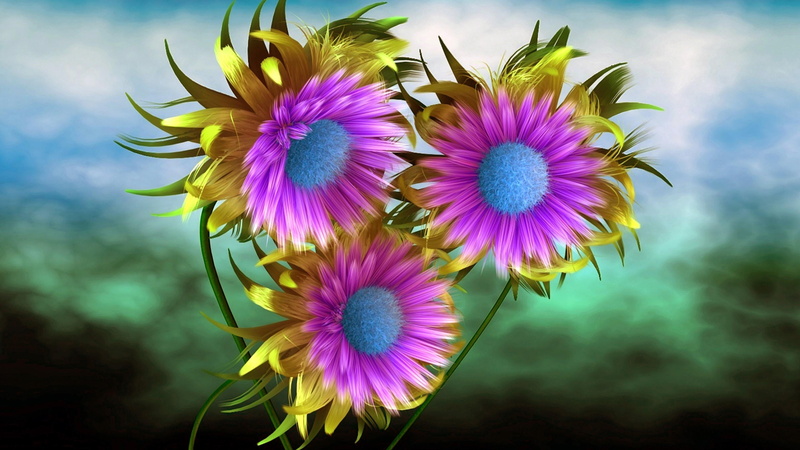 illustration, flower, flora, art, aster, purple flowers, 4K, artwork