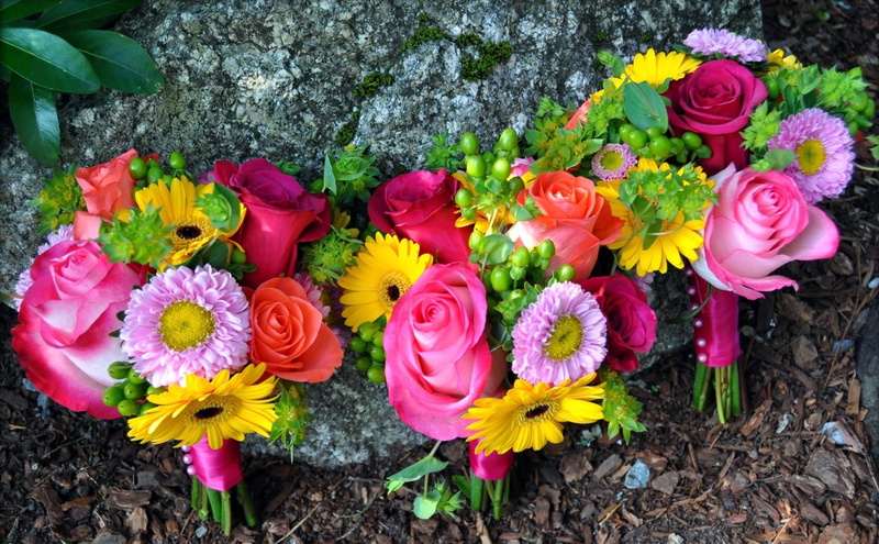 petal, day, three, gerberas, backgrounds, freshness, growth, roses, petaled, stone, beauty In Nature, decoration, summer, pink, fragility, leaf, springtime