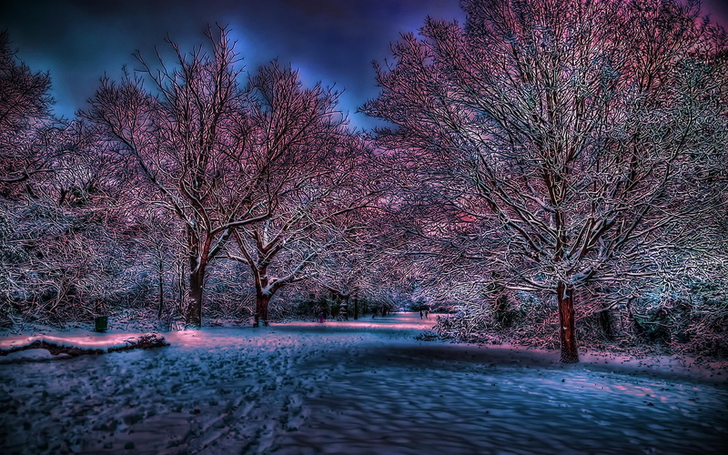 pretty, 3d and abstract, glowing, trees, mind, sheen, snow, games, 2K, beautiful, winters